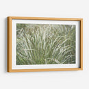 Texturas De Naturalezas Iv - Renee W. Stramel | Cuadro decorativo de Canvas Lab