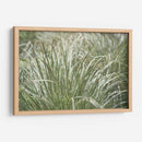 Texturas De Naturalezas Iv - Renee W. Stramel | Cuadro decorativo de Canvas Lab