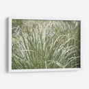 Texturas De Naturalezas Iv - Renee W. Stramel | Cuadro decorativo de Canvas Lab