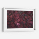 Texturas De Naturalezas V - Renee W. Stramel | Cuadro decorativo de Canvas Lab