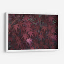 Texturas De Naturalezas V - Renee W. Stramel | Cuadro decorativo de Canvas Lab