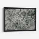 Texturas De Naturalezas Vi - Renee W. Stramel | Cuadro decorativo de Canvas Lab