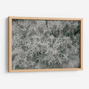 Texturas De Naturalezas Vi - Renee W. Stramel | Cuadro decorativo de Canvas Lab