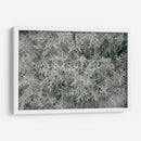 Texturas De Naturalezas Vi - Renee W. Stramel | Cuadro decorativo de Canvas Lab