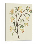 Blest Branch Ii - Jacob Green | Cuadro decorativo de Canvas Lab