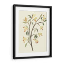 Blest Branch Ii - Jacob Green | Cuadro decorativo de Canvas Lab