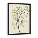 Blest Branch Ii - Jacob Green | Cuadro decorativo de Canvas Lab