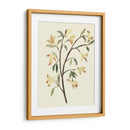 Blest Branch Ii - Jacob Green | Cuadro decorativo de Canvas Lab