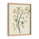 Blest Branch Ii - Jacob Green | Cuadro decorativo de Canvas Lab