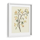 Blest Branch Ii - Jacob Green | Cuadro decorativo de Canvas Lab