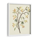 Blest Branch Ii - Jacob Green | Cuadro decorativo de Canvas Lab