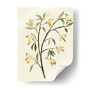 Blest Branch Ii - Jacob Green | Cuadro decorativo de Canvas Lab