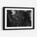 Spider Web - HCTR | Cuadro decorativo de Canvas Lab