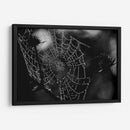 Spider Web - HCTR | Cuadro decorativo de Canvas Lab