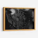 Spider Web - HCTR | Cuadro decorativo de Canvas Lab