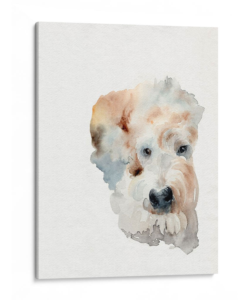 Perrito Scruffy I - Jennifer Paxton Parker | Cuadro decorativo de Canvas Lab