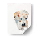 Perrito Scruffy I - Jennifer Paxton Parker | Cuadro decorativo de Canvas Lab