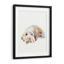 Puppy Scruffy Ii - Jennifer Paxton Parker | Cuadro decorativo de Canvas Lab