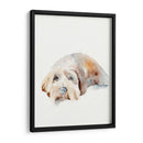 Puppy Scruffy Ii - Jennifer Paxton Parker | Cuadro decorativo de Canvas Lab
