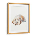 Puppy Scruffy Ii - Jennifer Paxton Parker | Cuadro decorativo de Canvas Lab