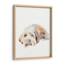 Puppy Scruffy Ii - Jennifer Paxton Parker | Cuadro decorativo de Canvas Lab