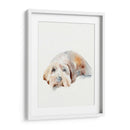 Puppy Scruffy Ii - Jennifer Paxton Parker | Cuadro decorativo de Canvas Lab
