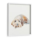 Puppy Scruffy Ii - Jennifer Paxton Parker | Cuadro decorativo de Canvas Lab