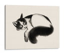Cat Laze I - Grace Popp | Cuadro decorativo de Canvas Lab