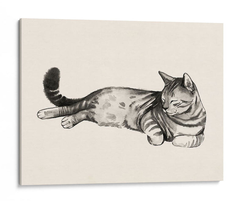 Cat Laze Ii - Grace Popp | Cuadro decorativo de Canvas Lab