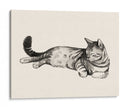 Cat Laze Ii - Grace Popp | Cuadro decorativo de Canvas Lab