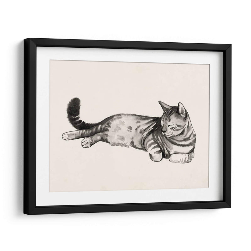 Cat Laze Ii - Grace Popp | Cuadro decorativo de Canvas Lab