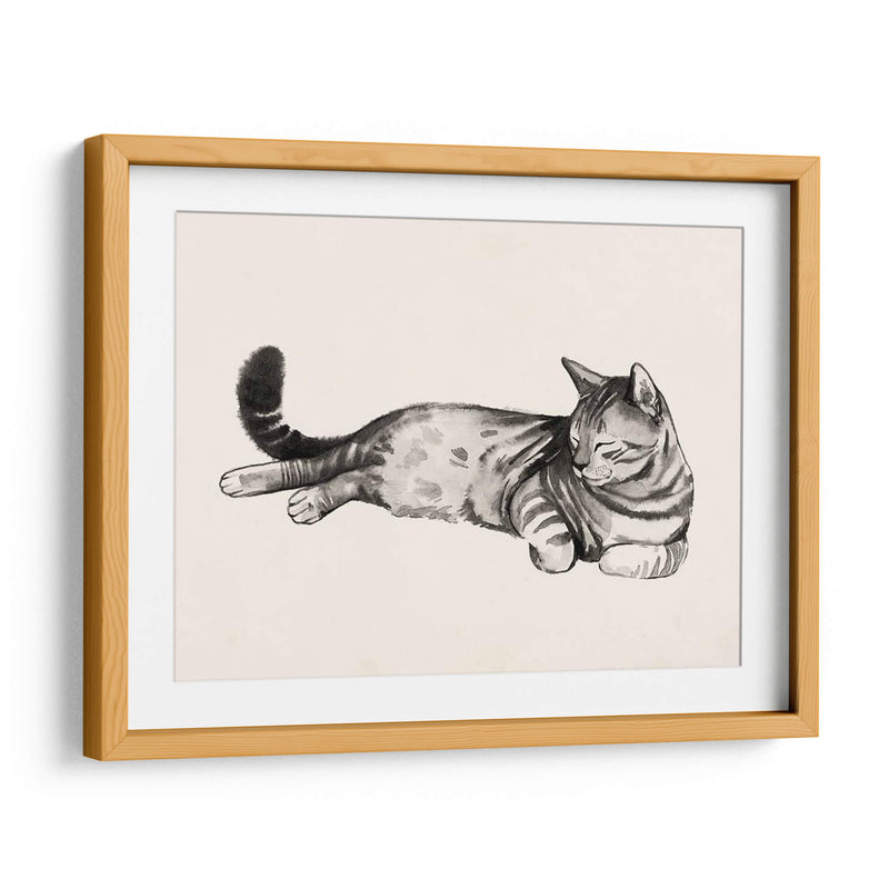 Cat Laze Ii - Grace Popp | Cuadro decorativo de Canvas Lab