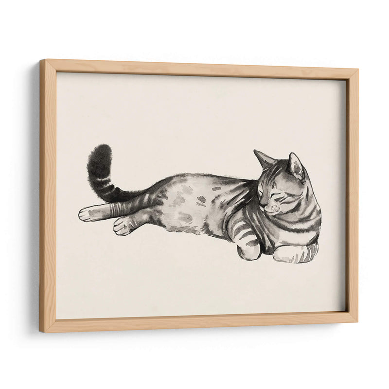 Cat Laze Ii - Grace Popp | Cuadro decorativo de Canvas Lab