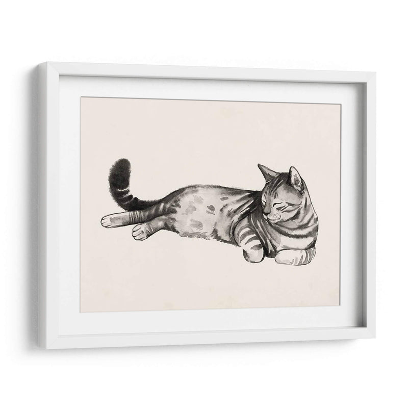 Cat Laze Ii - Grace Popp | Cuadro decorativo de Canvas Lab