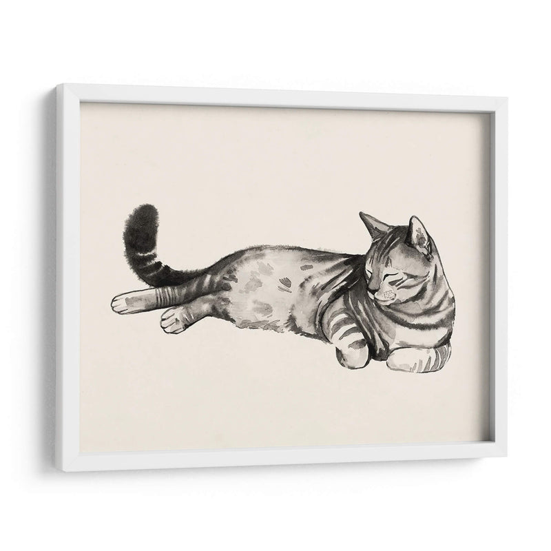 Cat Laze Ii - Grace Popp | Cuadro decorativo de Canvas Lab