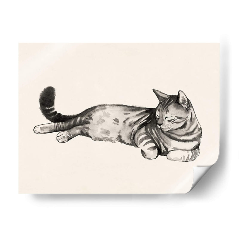 Cat Laze Ii - Grace Popp | Cuadro decorativo de Canvas Lab