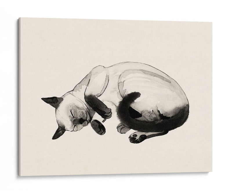 Cat Laze Iii - Grace Popp | Cuadro decorativo de Canvas Lab