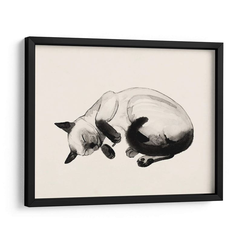 Cat Laze Iii - Grace Popp | Cuadro decorativo de Canvas Lab