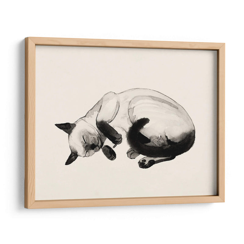 Cat Laze Iii - Grace Popp | Cuadro decorativo de Canvas Lab