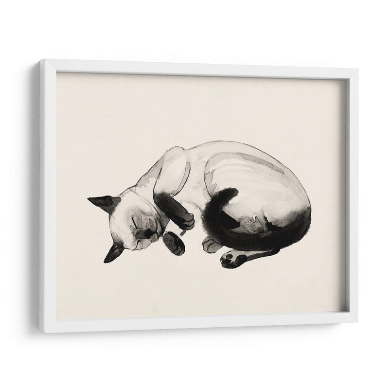 Cat Laze Iii - Grace Popp | Cuadro decorativo de Canvas Lab