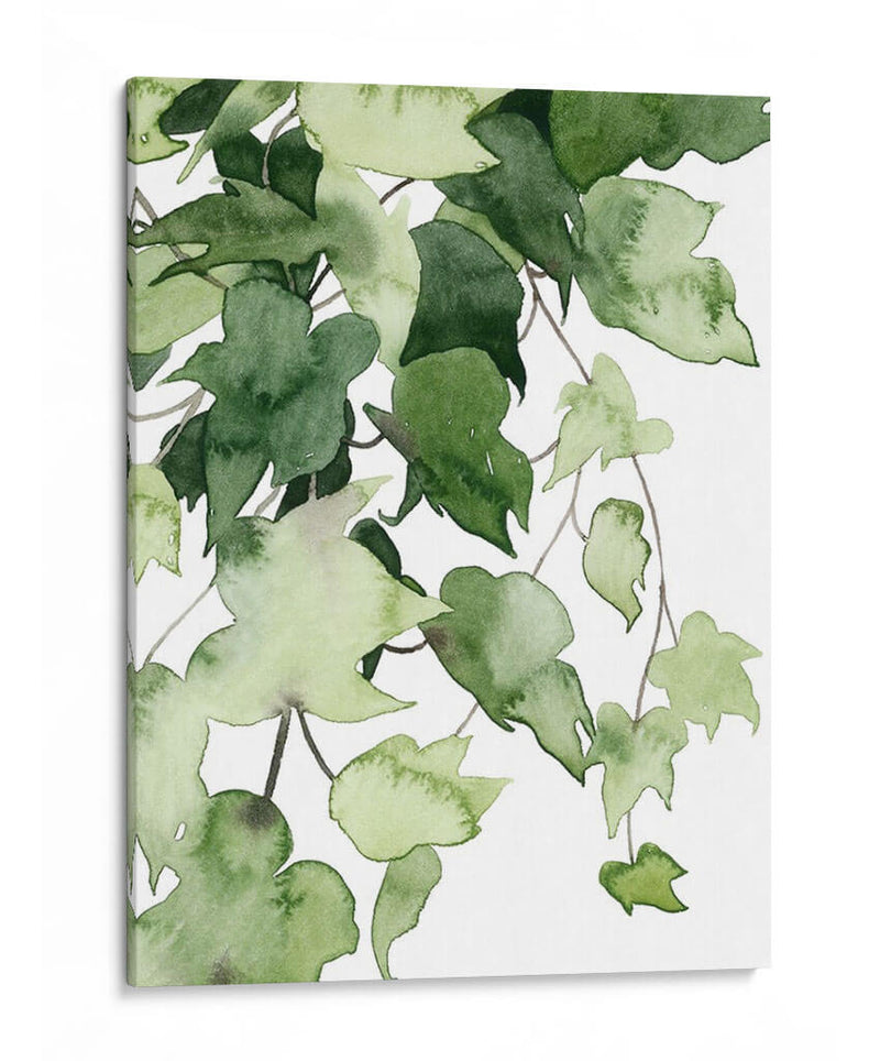 Emeralda Vines I - Grace Popp | Cuadro decorativo de Canvas Lab