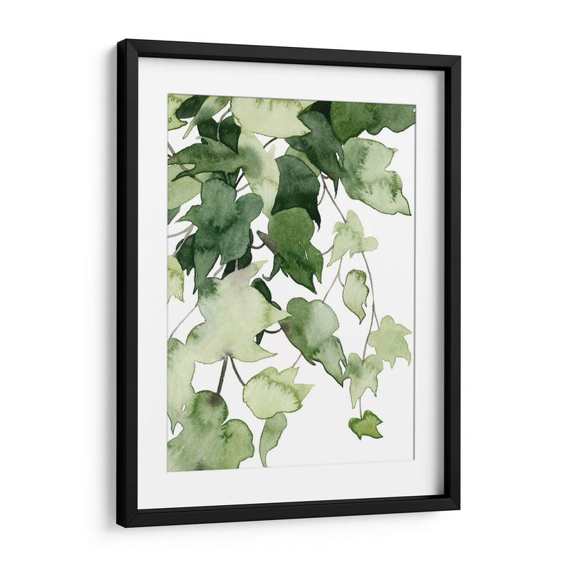 Emeralda Vines I - Grace Popp | Cuadro decorativo de Canvas Lab