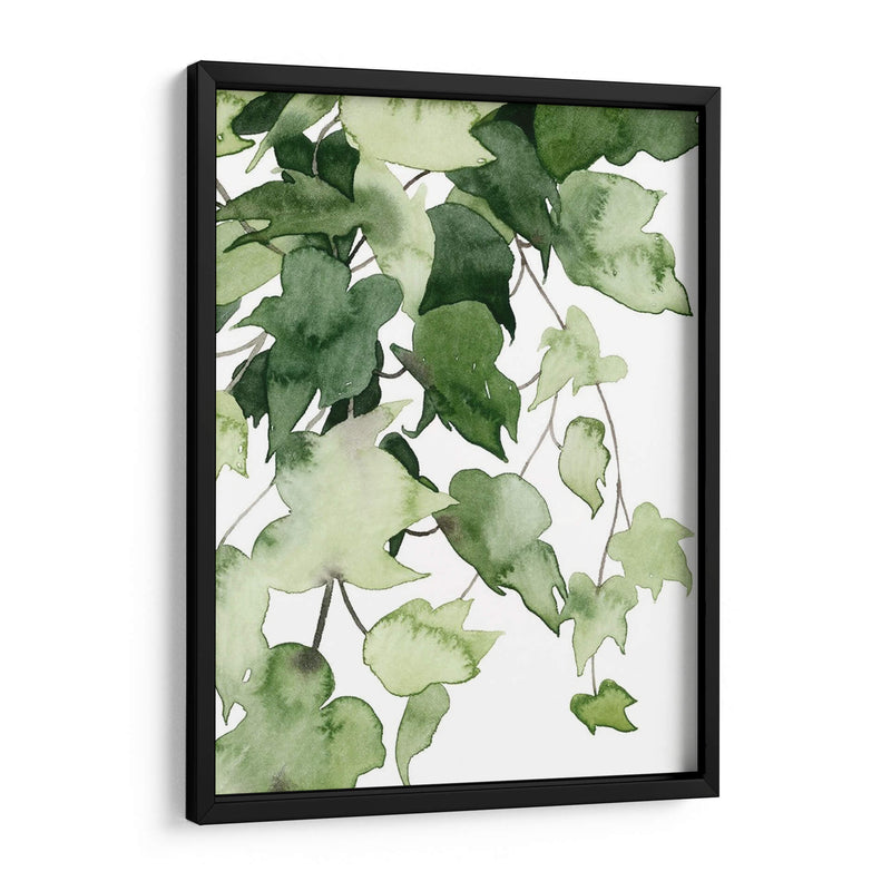 Emeralda Vines I - Grace Popp | Cuadro decorativo de Canvas Lab