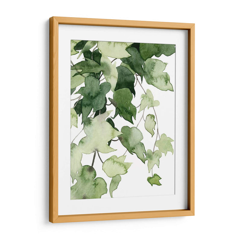 Emeralda Vines I - Grace Popp | Cuadro decorativo de Canvas Lab