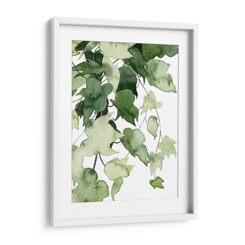 Emeralda Vines I - Grace Popp | Cuadro decorativo de Canvas Lab