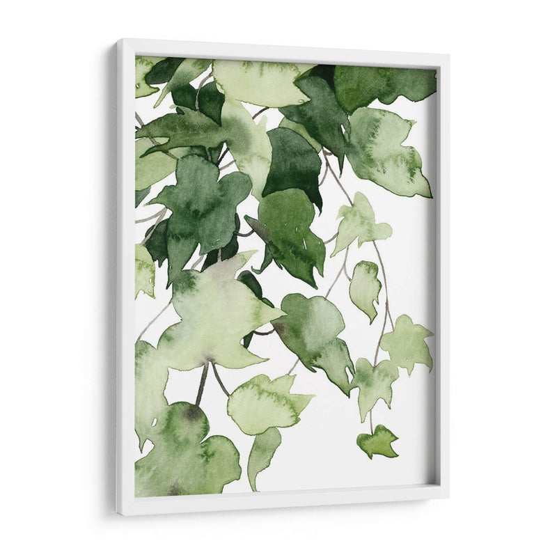 Emeralda Vines I - Grace Popp | Cuadro decorativo de Canvas Lab