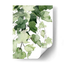 Emeralda Vines I - Grace Popp | Cuadro decorativo de Canvas Lab