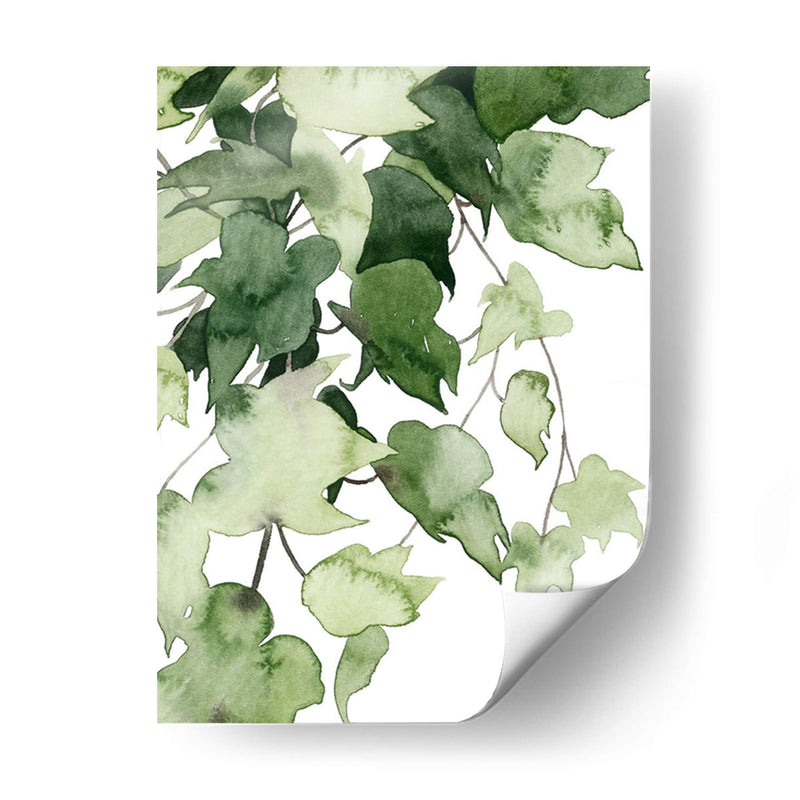 Emeralda Vines I - Grace Popp | Cuadro decorativo de Canvas Lab