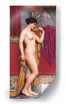 En el Tepidarium - John William Godward | Cuadro decorativo de Canvas Lab
