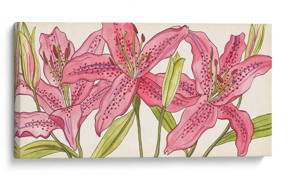 Lirios Rosados ​​I - Melissa Wang | Cuadro decorativo de Canvas Lab